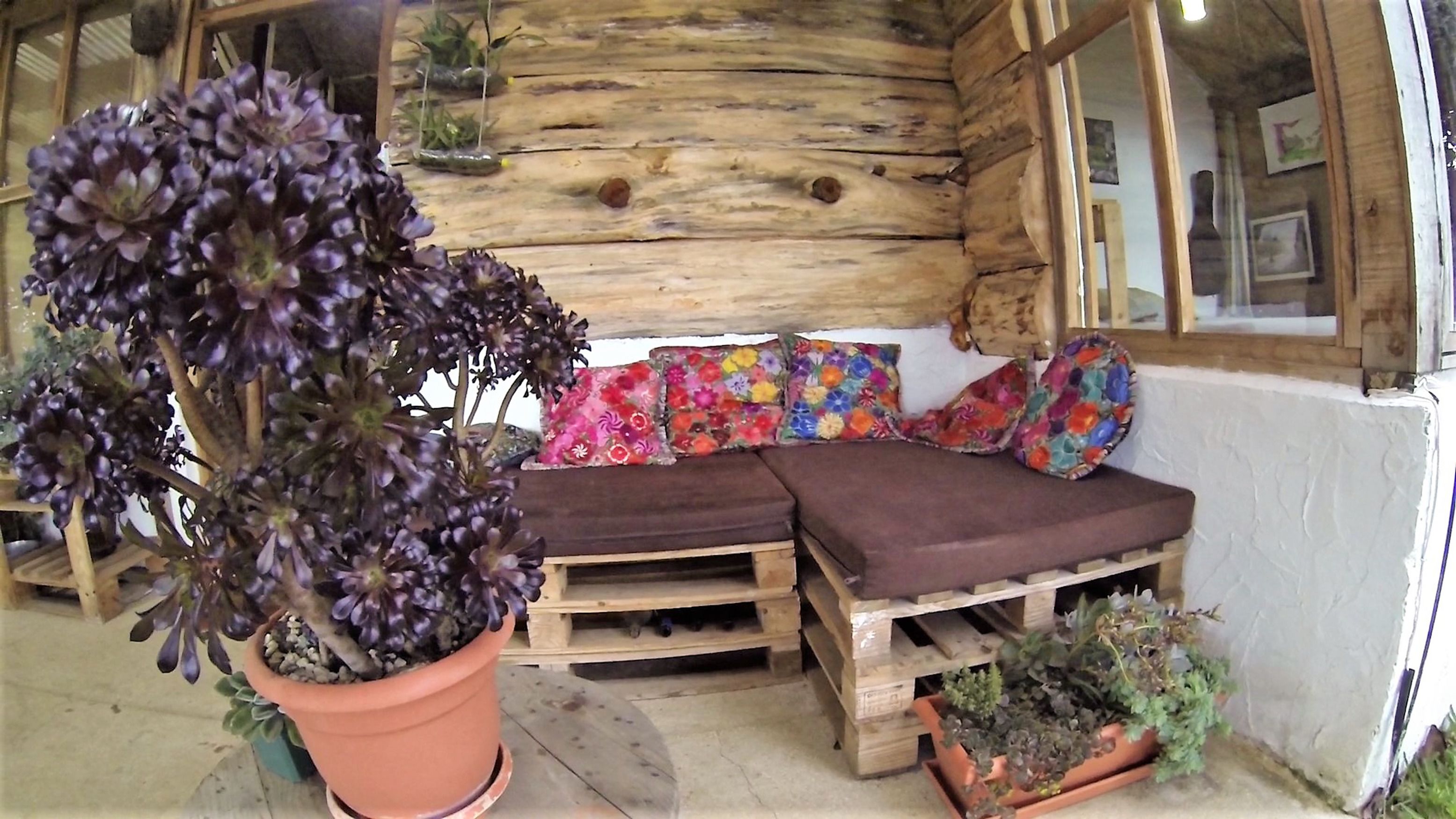 Room, Multiple Beds, Non Smoking | Terrace/patio