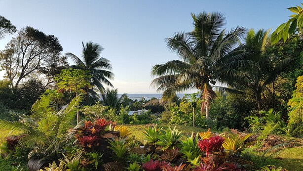 A tropical garden with various plants and a view of the ocean. - Capture the view, hear the waves -TepaeruVista (Vaimaanga)