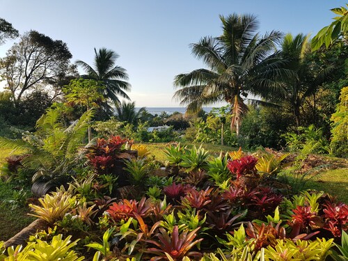 Erfassen Sie die Ansicht, hören Sie die Wellen -TepaeruVista