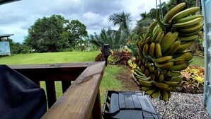 A wooden table with a bench, a bunch of bananas, and a view of a lush garden with palm trees and a cloudy sky. - Capture the view, hear the waves -TepaeruVista (Vaimaanga)