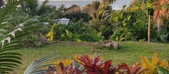 Capture the view, hear the waves -TepaeruVista