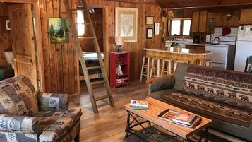 Televisión, chimenea y reproductor de DVD