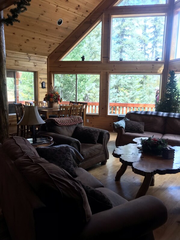 Smart TV, fireplace, DVD player, video library