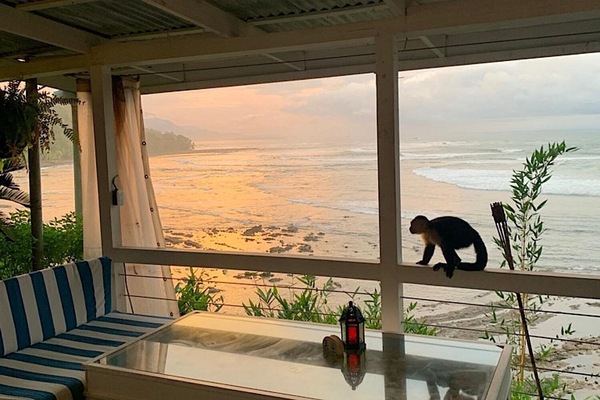 Àrea exterior de l'allotjament