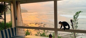 Beautiful Jungle Villa with wildlife, close to restaurants, shopping and beaches