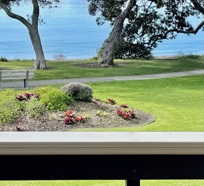 Property grounds - ON THE BEACH at SNELLS BEACH (Snells Beach)