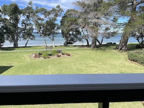 Property grounds - ON THE BEACH at SNELLS BEACH (Snells Beach)