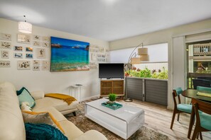 TV, DVD player, books, video library