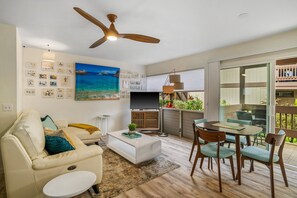 TV, DVD player, books, video library