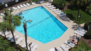 Une piscine rectangulaire entourée de chaises longues et de palmiers.