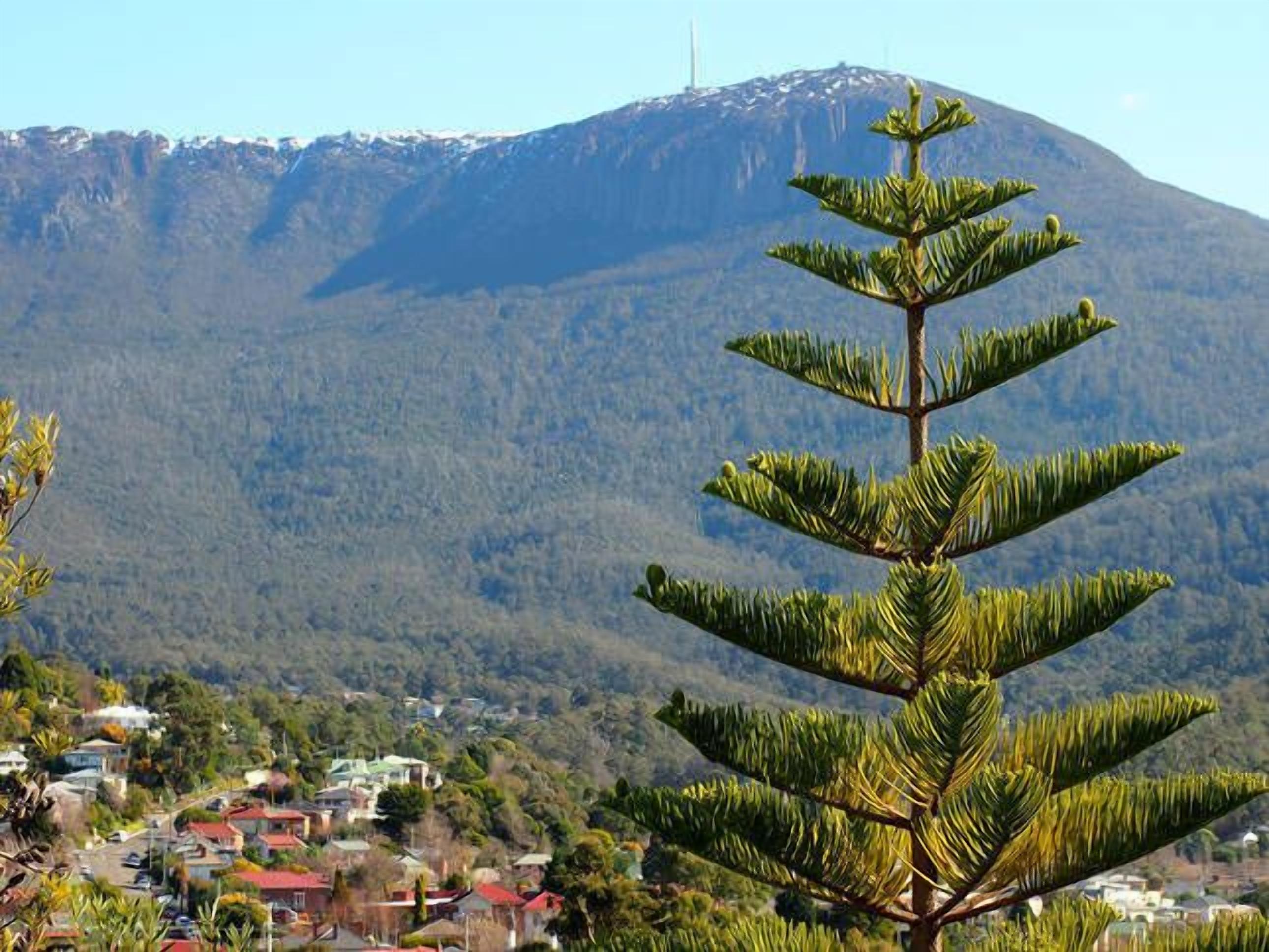 Toogooloowa on Davey 5 — image 19
