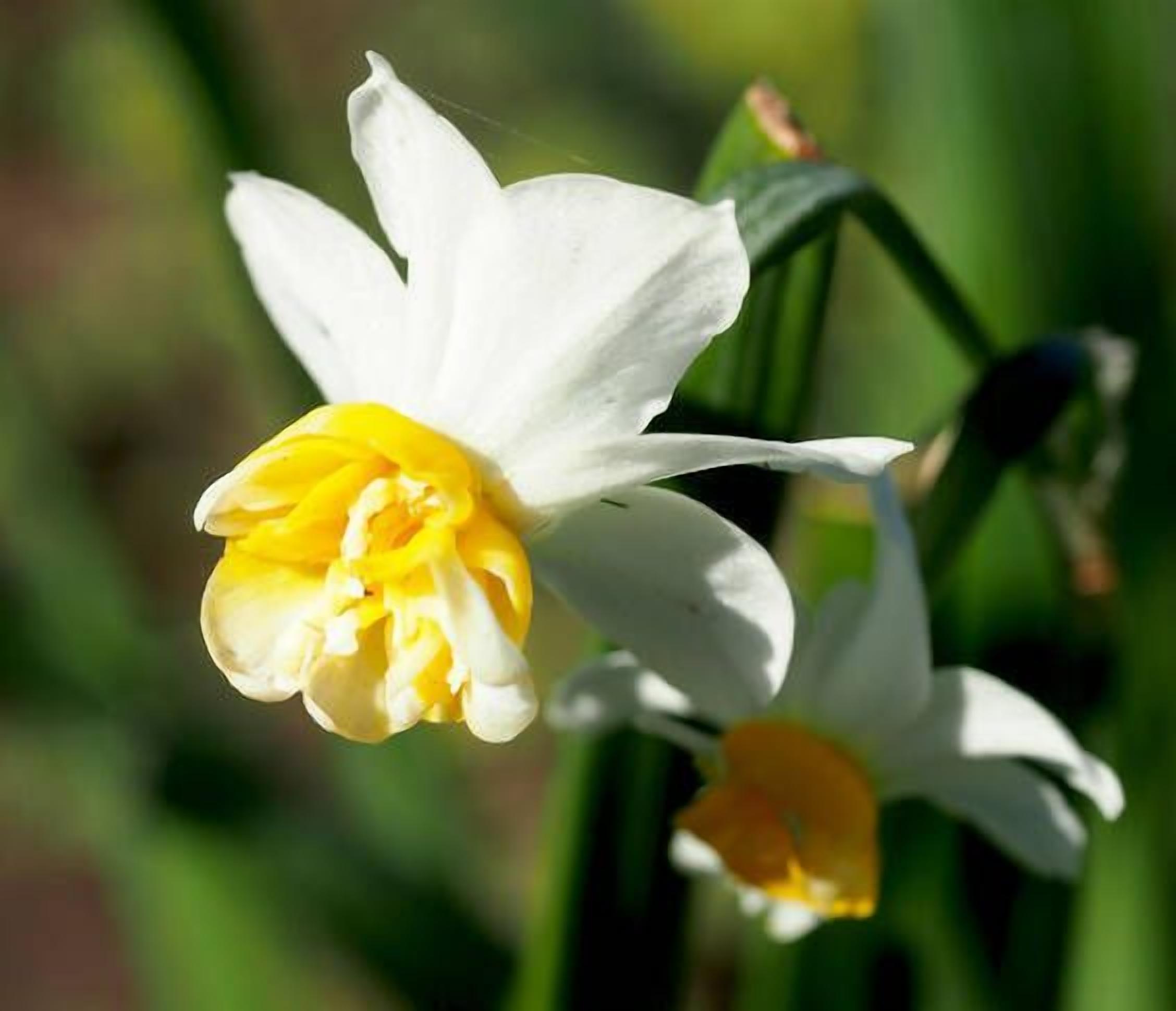 Toogooloowa on Davey 5 — image 16