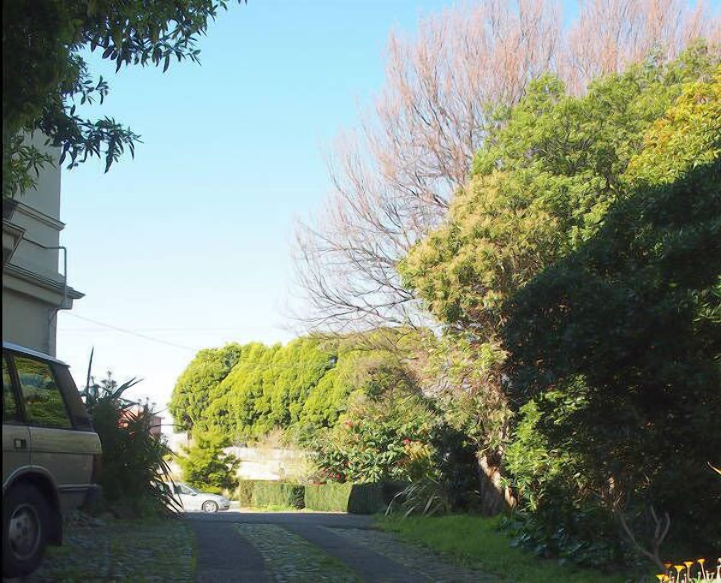 Toogooloowa on Davey 5 — image 10