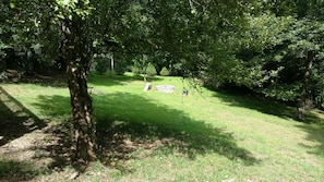 Escape to a serene oasis surrounded by lush greenery and a tranquil atmosphere.