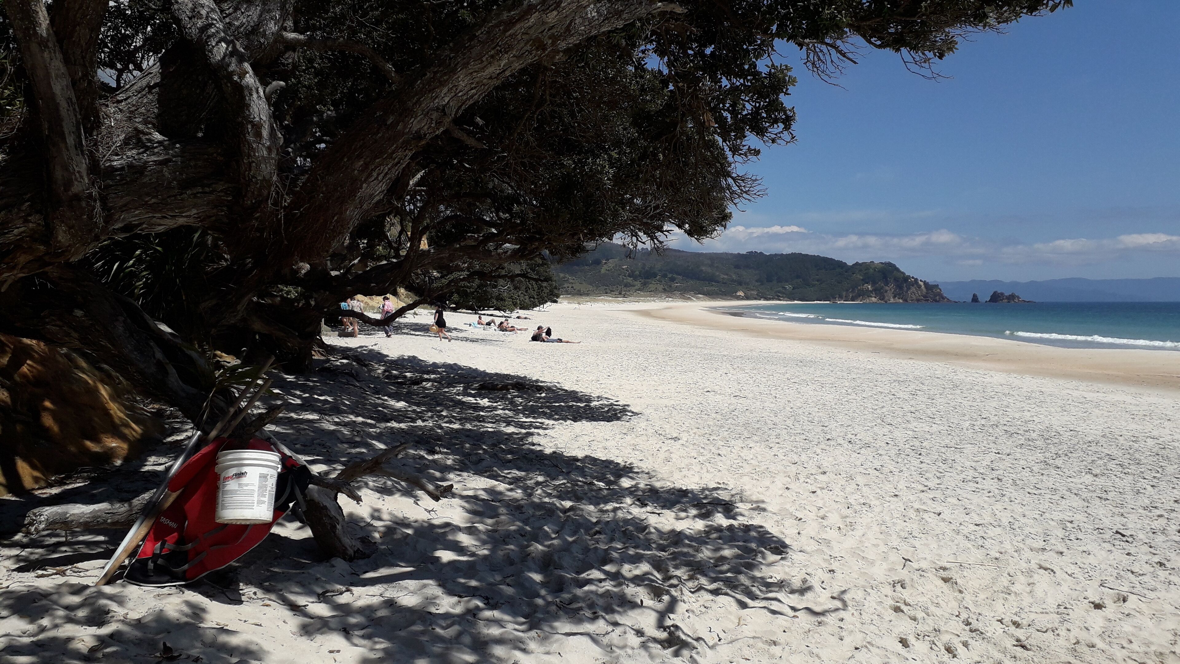 Sun-loungers, beach towels