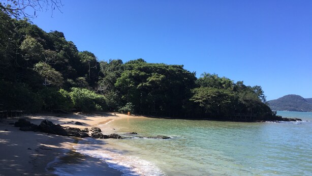 Une plage à l’eau claire, avec un rivage sablonneux et une forêt dense.