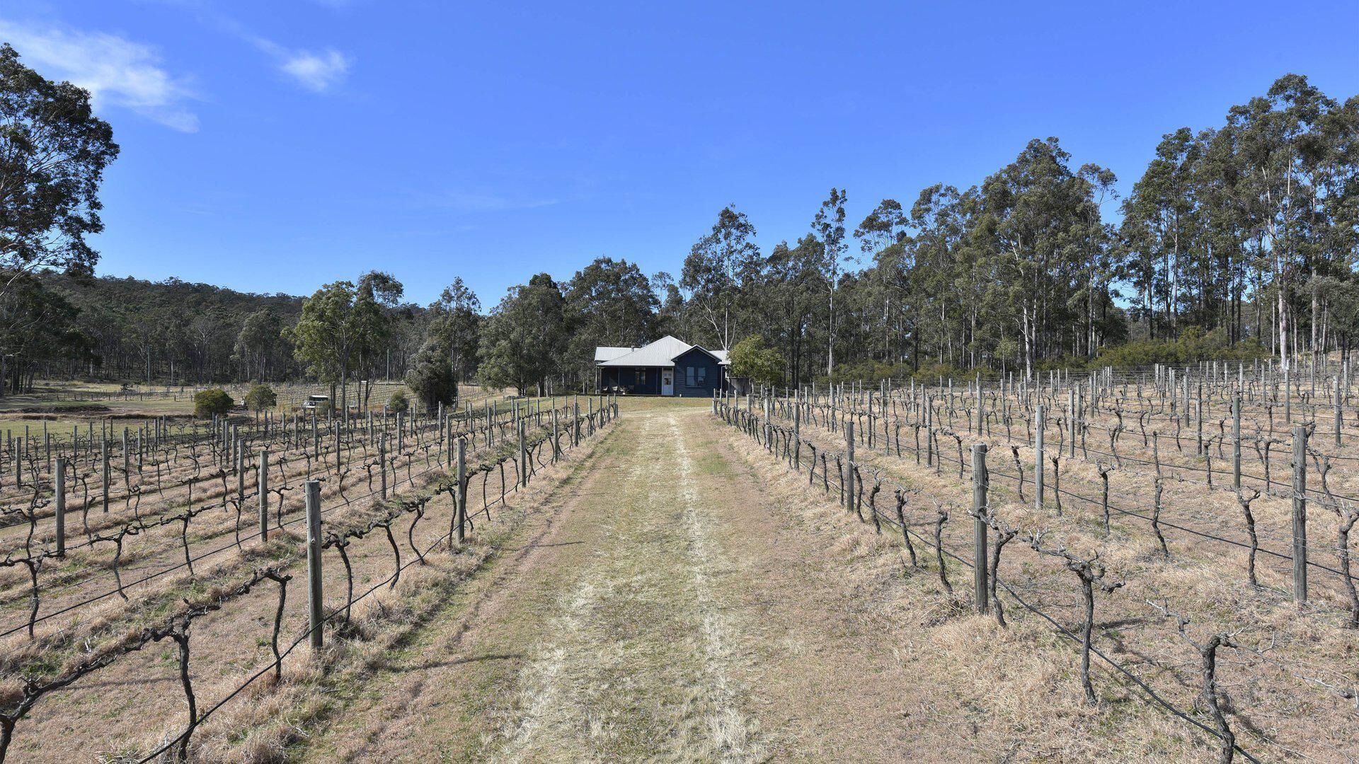 The Parson's Vineyard Retreat - get amongst the vineyards in a historic home — image 7