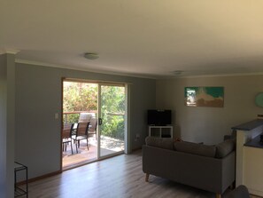 TV, fireplace, video games, DVD player
