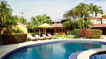 Outdoor pool, sun loungers