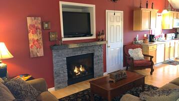 智能电视、壁炉、DVD 播放器、书