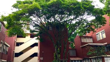 A multi-story building with a red brick facade, numbered 52, and a large tree in front.