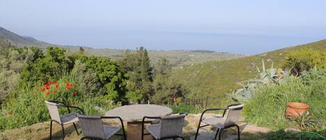 تناول الطعام بالخارج