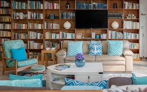 Smart TV, Netflix, DVD player, books