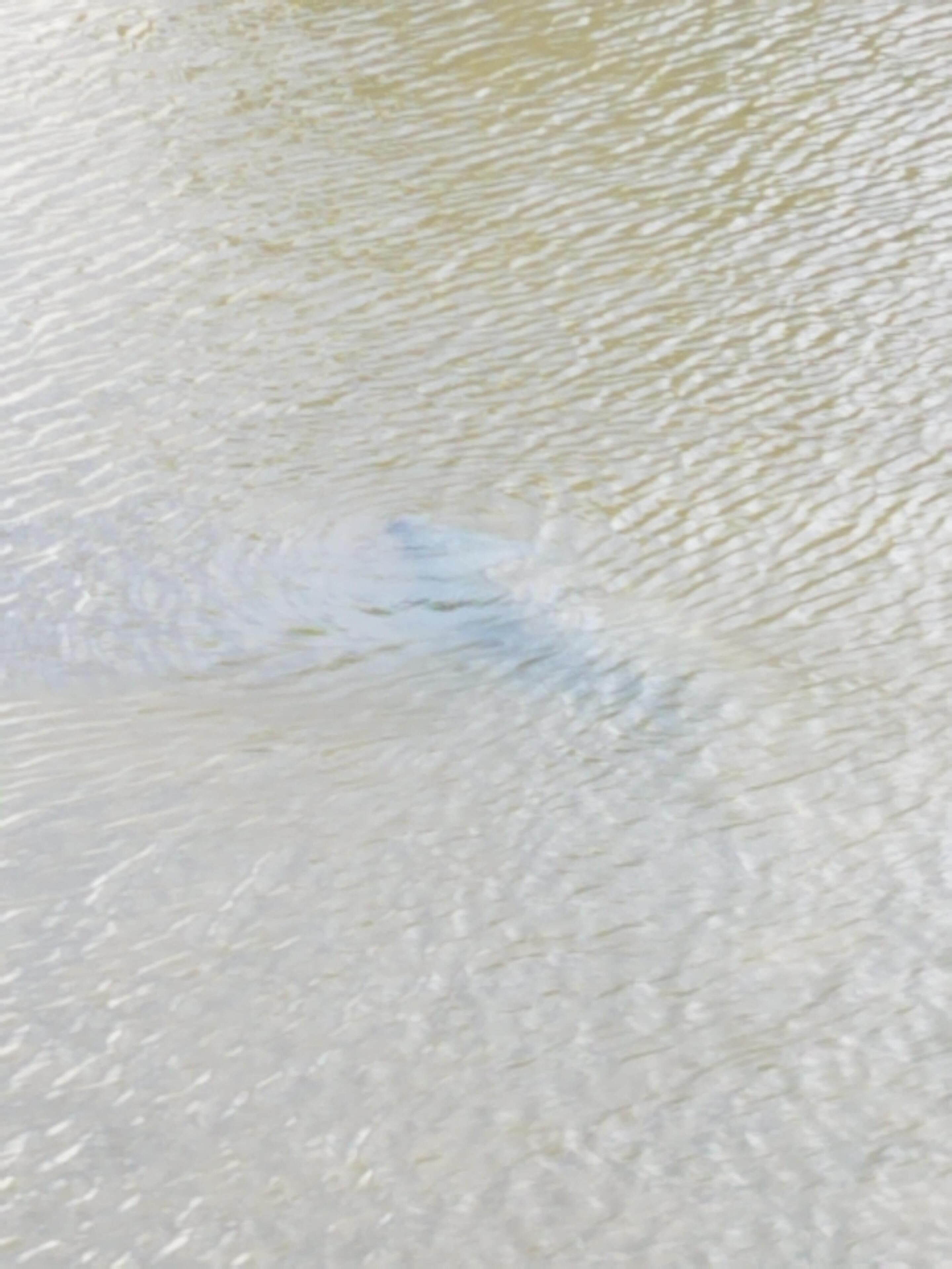 A close-up of a textured surface with a pattern of fine lines and a subtle gradient.