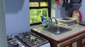 Una cocina compacta con estufa a gas, microondas y pileta.