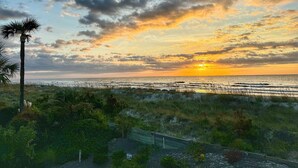 Paesaggio costiero con un tramonto, palme e una spiaggia sullo sfondo.