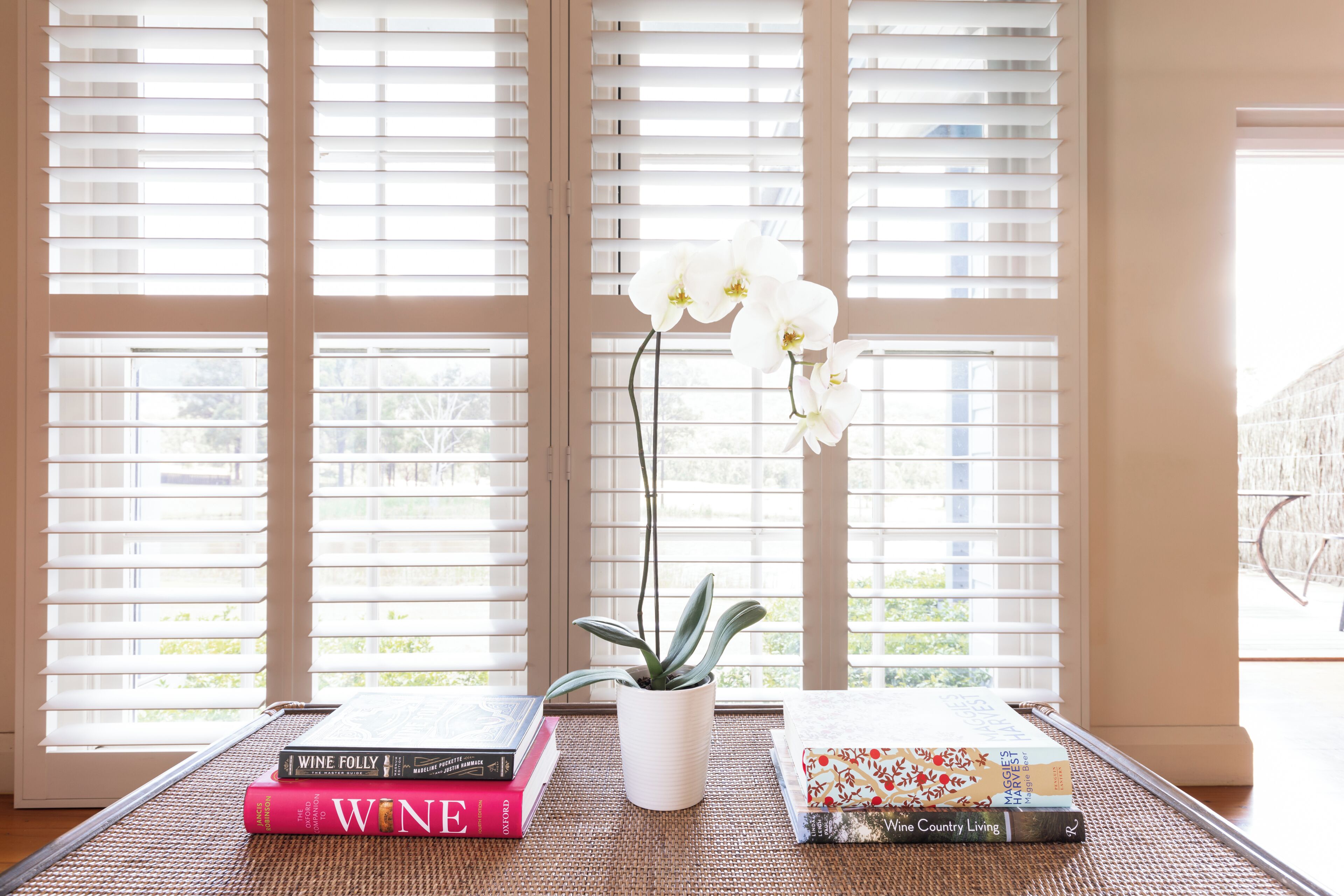 A room with large windows, a potted plant, and books on a table.