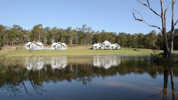 Lake view