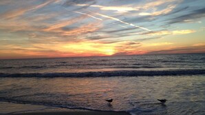 A sunset over the ocean with two birds on the shore. - Best deal on the beach/sleeps 6/All New/Gulf views!/55 inch TV (Indian Shores)