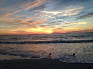 On the beach, sun-loungers, beach towels