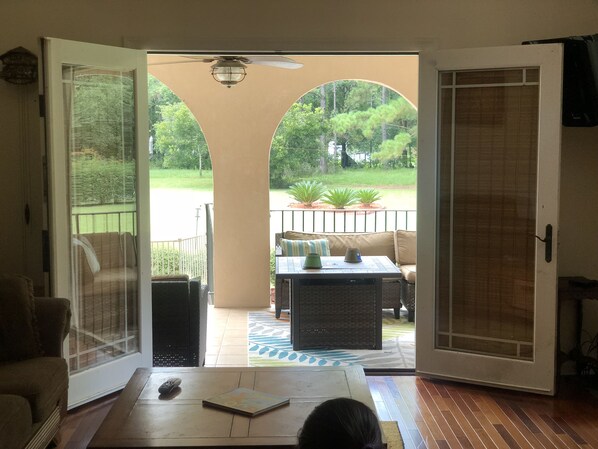 TV a schermo piatto, caminetto, lettore DVD