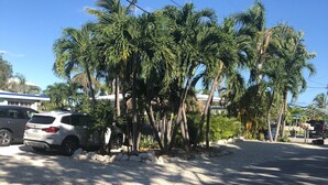 A parking area with several parked cars and palm trees. - Waterfront & Privacy, Heated Pool  HotTub & waterfall, 60' Dock TikiHut, pets ok (Marathon)