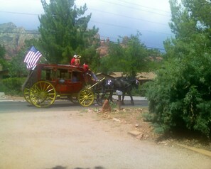 Un'antica carrozza trainata da un cavallo rosso, con a bordo un autista e un passeggero, e decorata con una bandiera americana.
