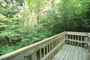 A wooden deck surrounded by dense forest.