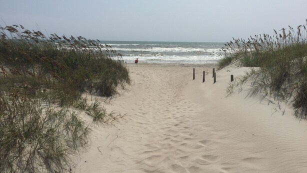 A sandy beach path with grass on either side leading to the ocean.