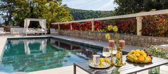 Luxury Estate Villa Gorica packed in modern facilities, pickleball playground!