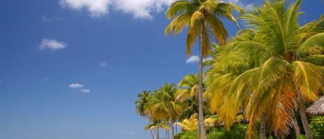 Aan een privéstrand, ligstoelen, strandlakens