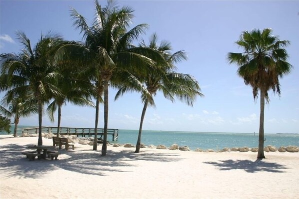Enjoy the tranquil ocean views from a comfortable bench near the shore, surrounded by palm trees and a stone wall.
