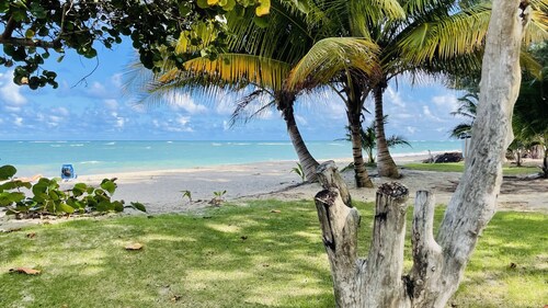 Brenda's Sun-Kissed Ocean View Rooftop Beachfront Penthouse Condo 2,250 sq ft