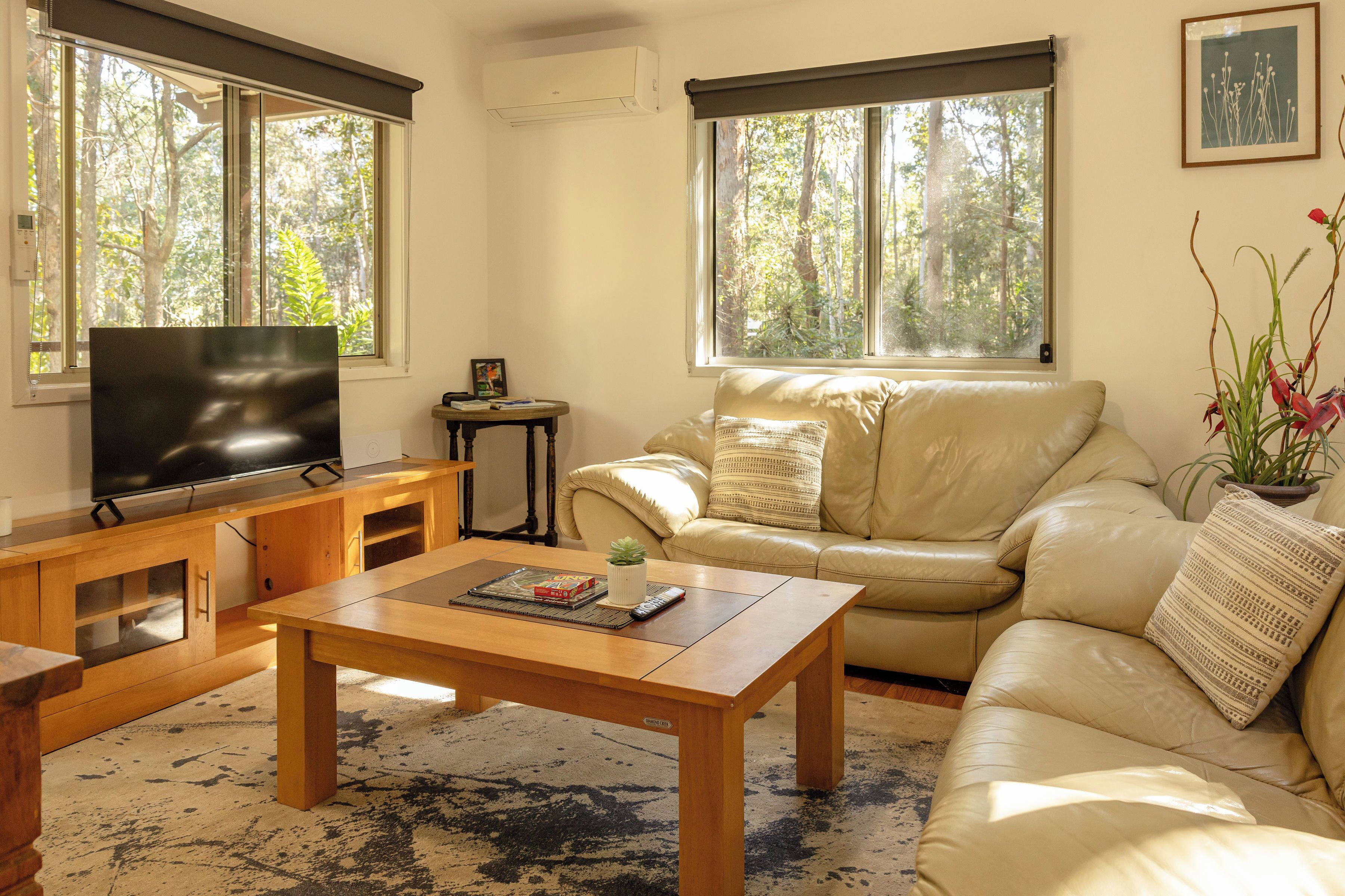 TV, DVD player, video library, stereo