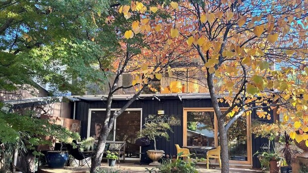 A building with a dark exterior, large windows, and a garden with various plants and a tree with yellow leaves. - TreeTops House near Bright with Mtn & pool views (Tawonga South)