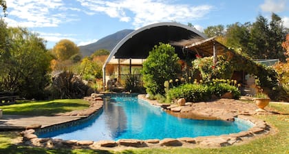 Tree Tops Apt @ Dreamers features log fire, mountain + pool views thru tree tops