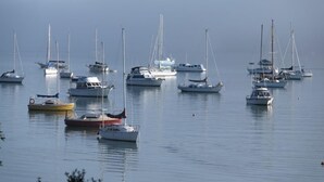 A marina with various boats docked. - Charming Beachfront Retreat at Bay View – Step Back in Time by the Sea (Flat 2) (Opua)