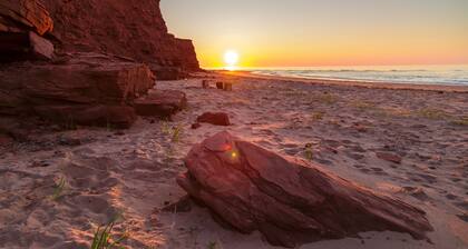 So Close To The Harbor/Beach You Can Taste The Salt SALTOFTHEHARBOR #5