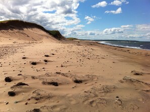 Toallas de playa 
