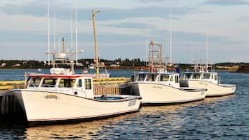 Jachthaven
